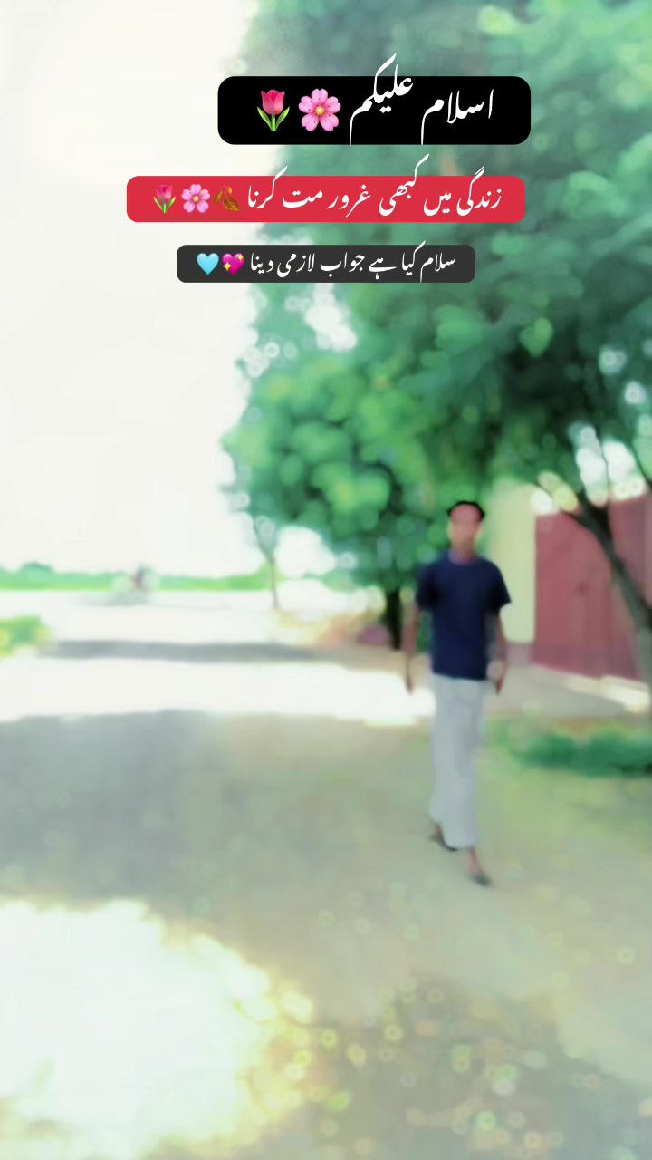 @🥀✨🖇️بھٹی بادشاہ 🖇️✨🥀