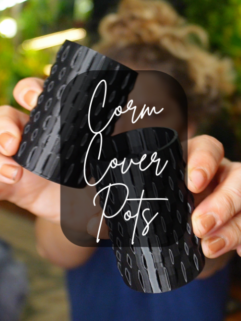 @Kass