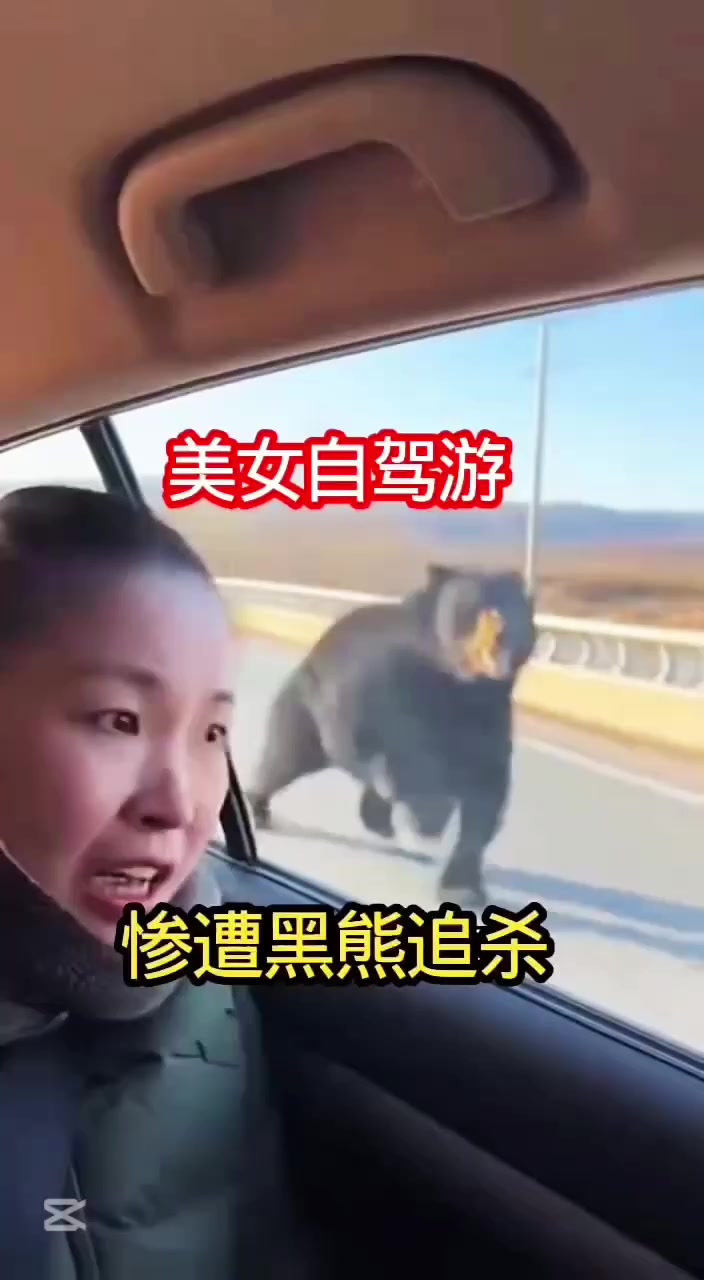 @liujiangyu