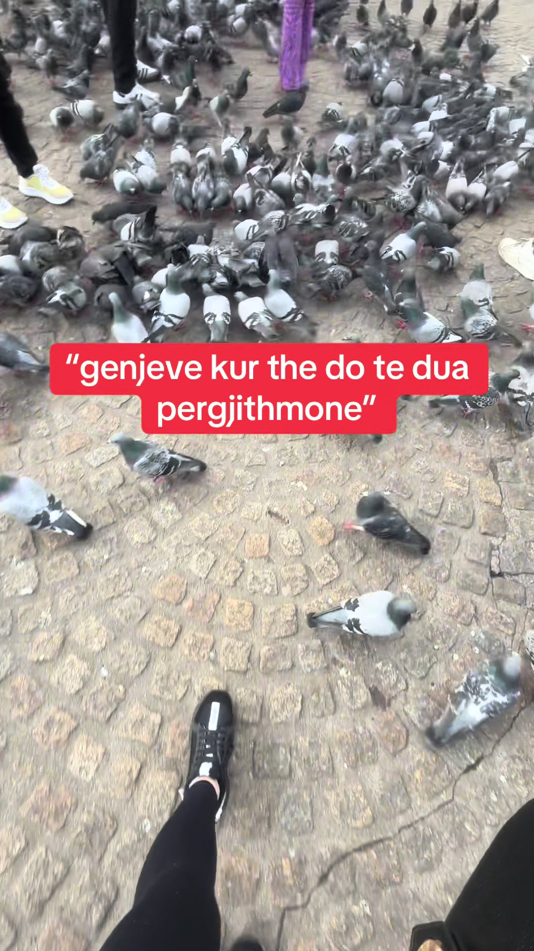 @E.D