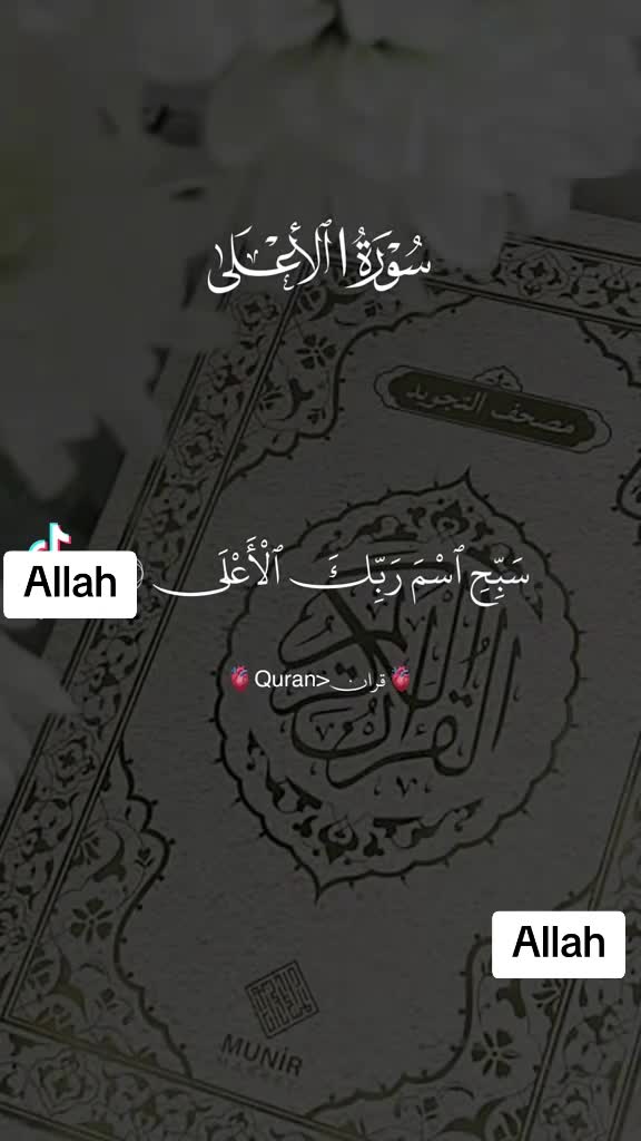 @❄️🪐🌌Syeda Mujahid🌟