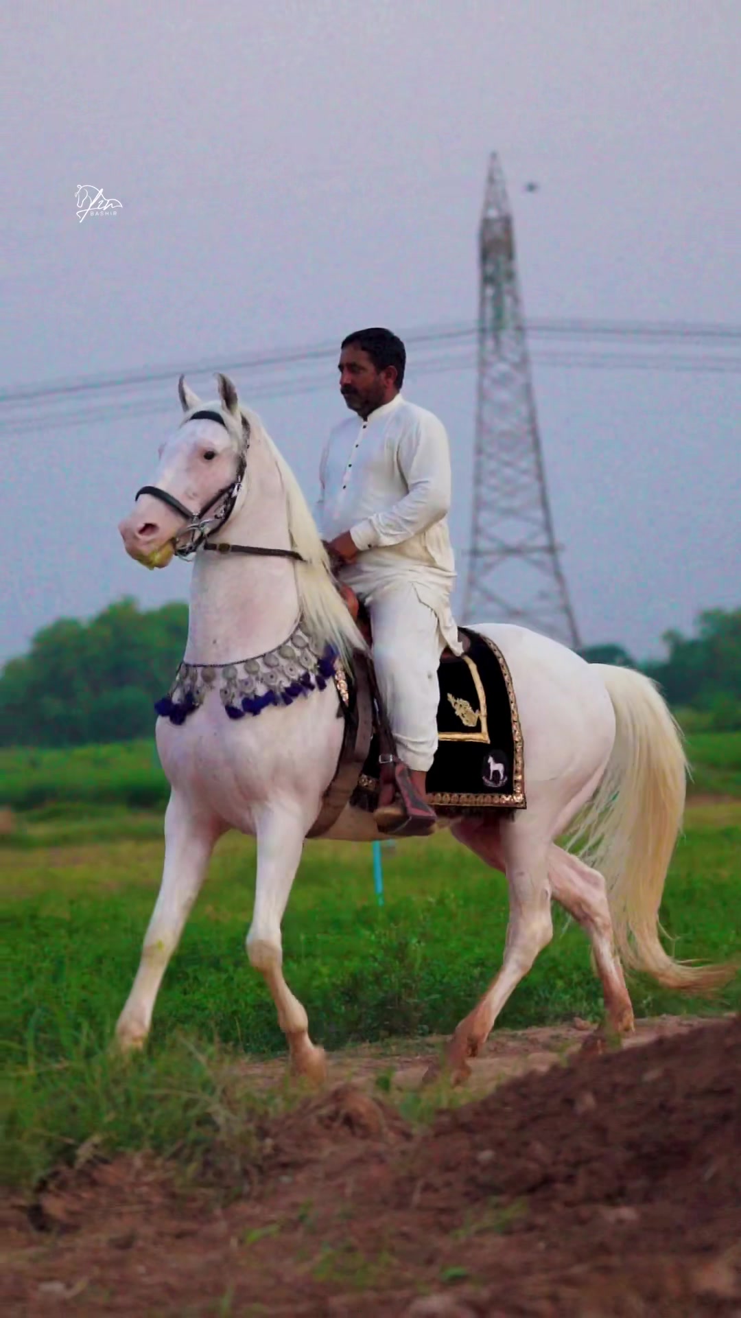 @SUNRISE STUD FARMS RAWALPINDI
