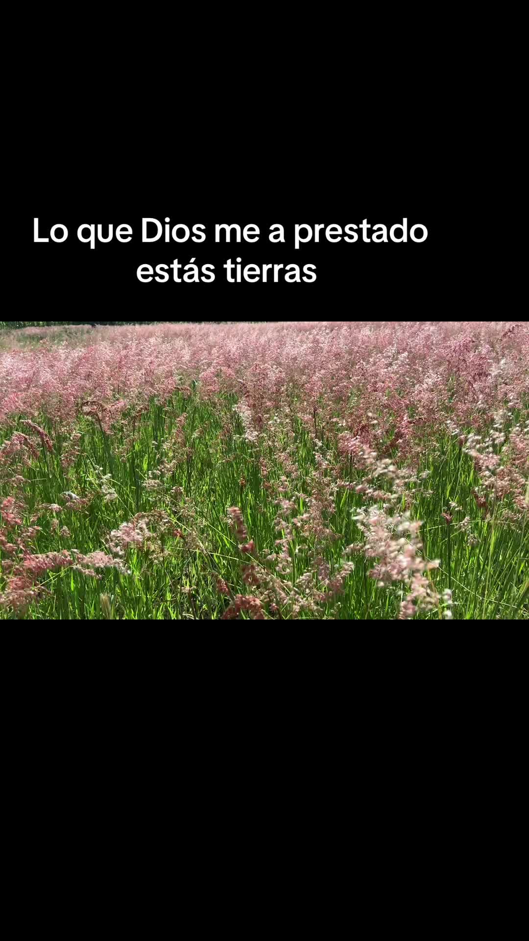 @antonysaavedra55