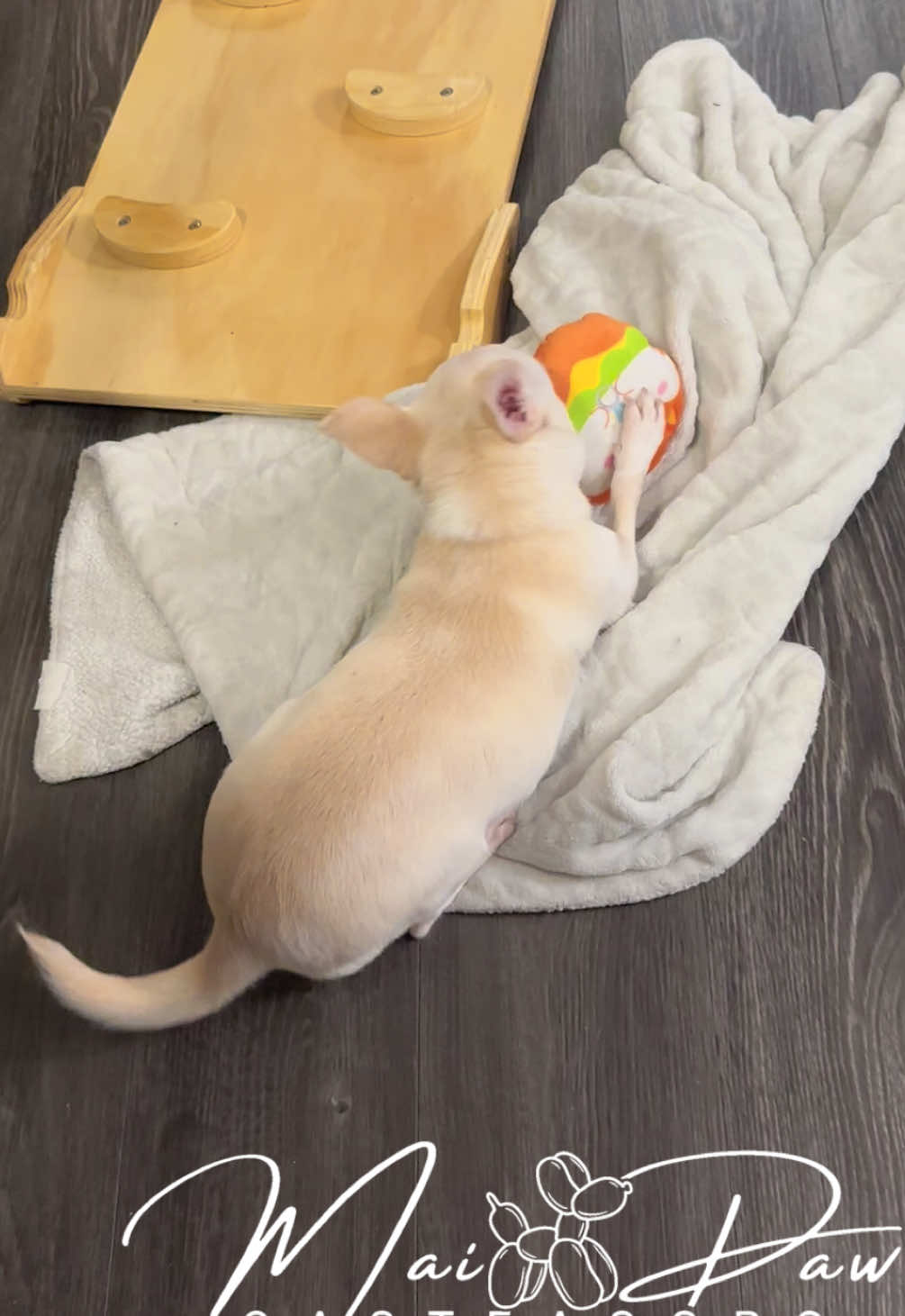 @MaiPaw