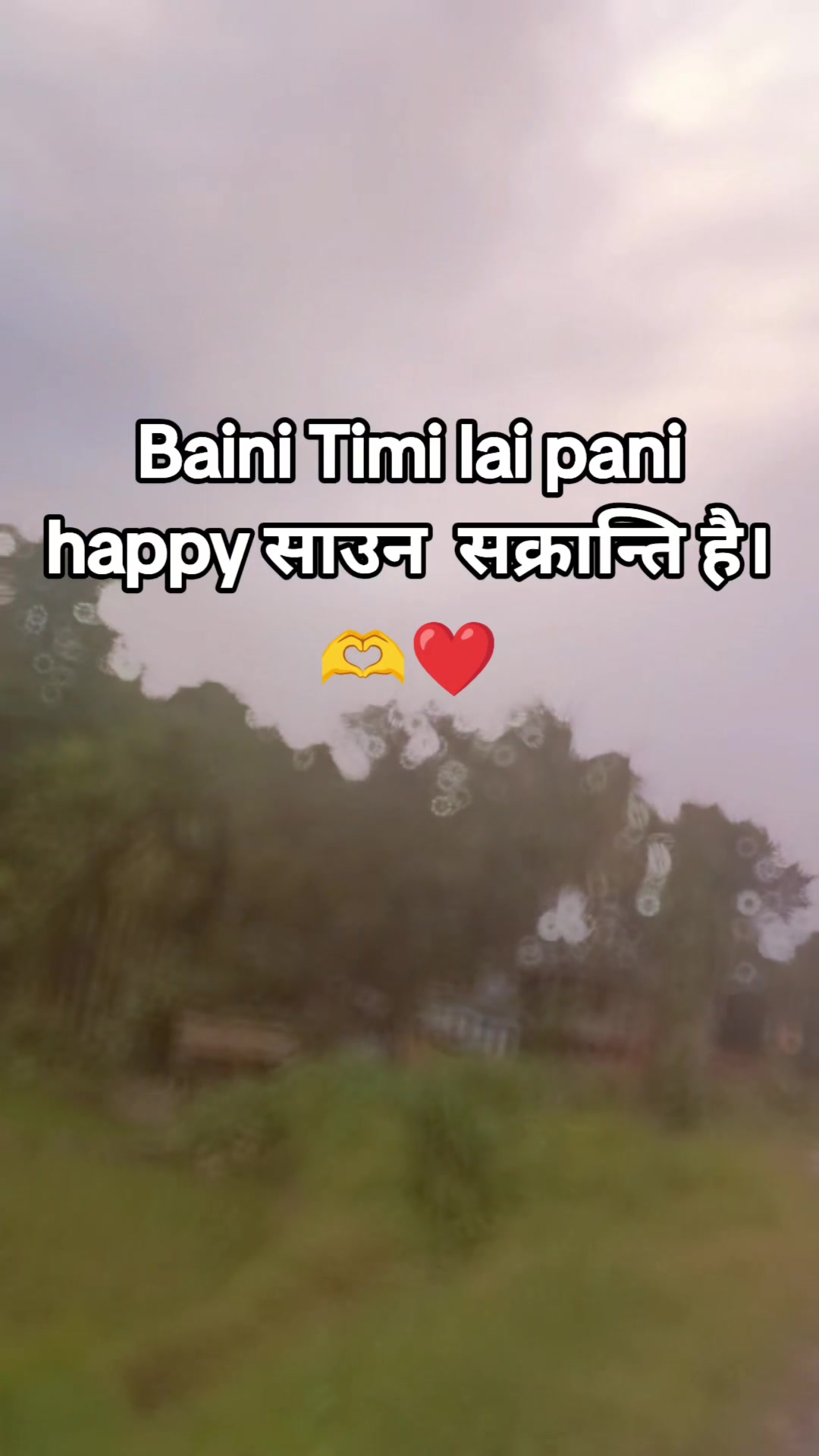 @🌻