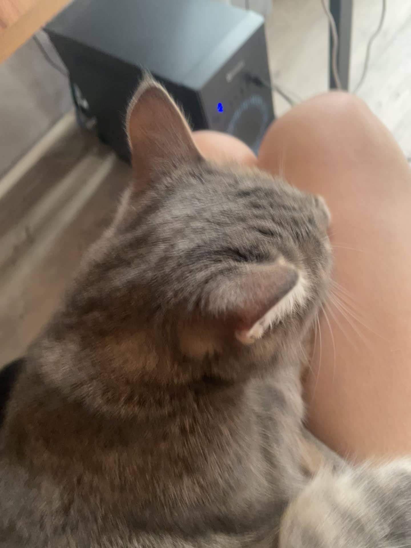 @викуша