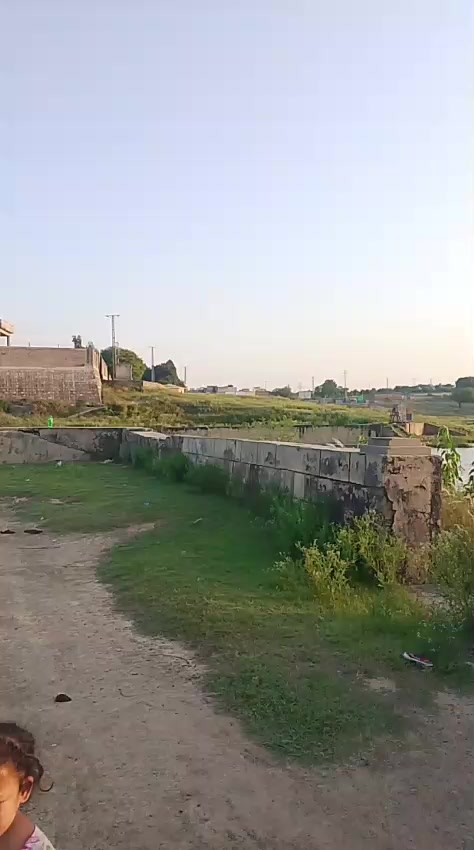 @amanit 98