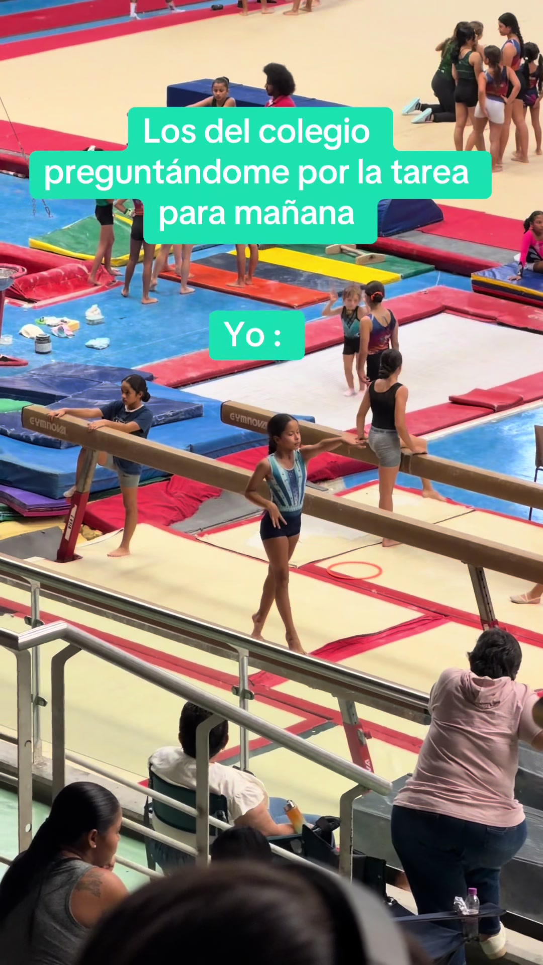 @lucigimnastic.16