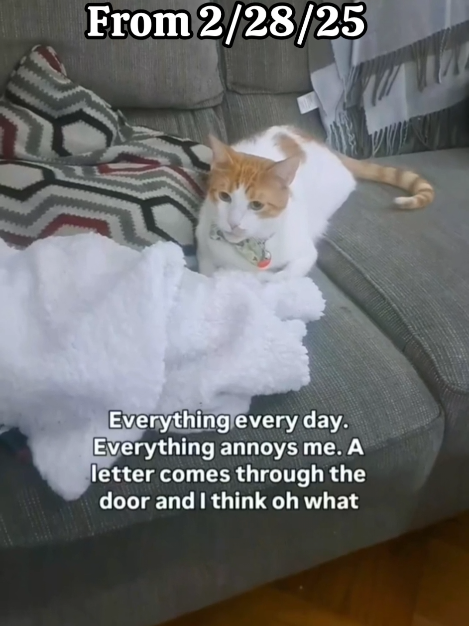 @Candice & Weasley