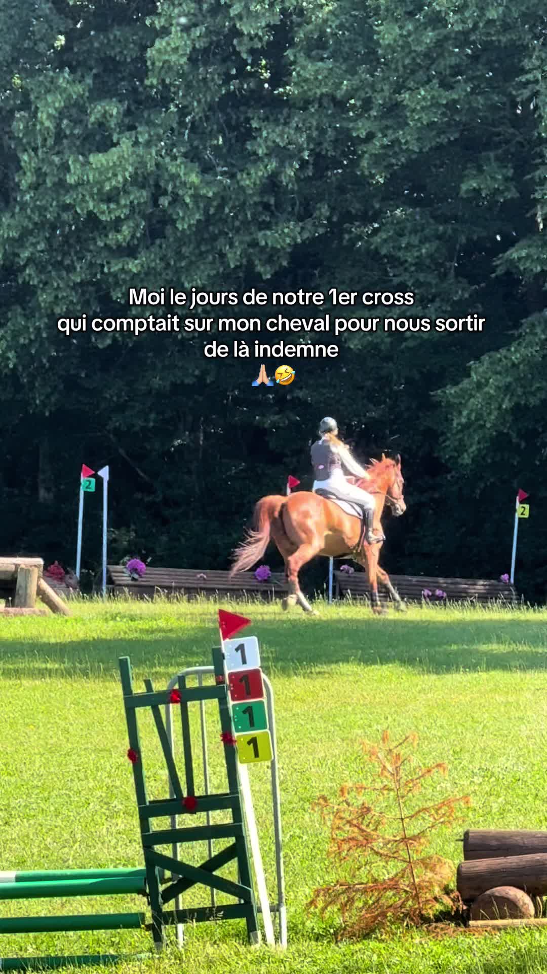 @Rolly&compagnie