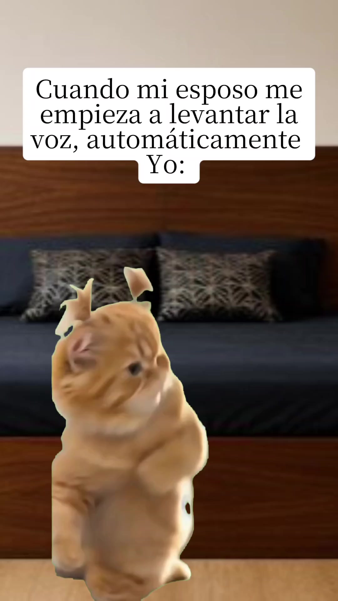 @pachoncito🇲🇽🇲🇽🇲🇽