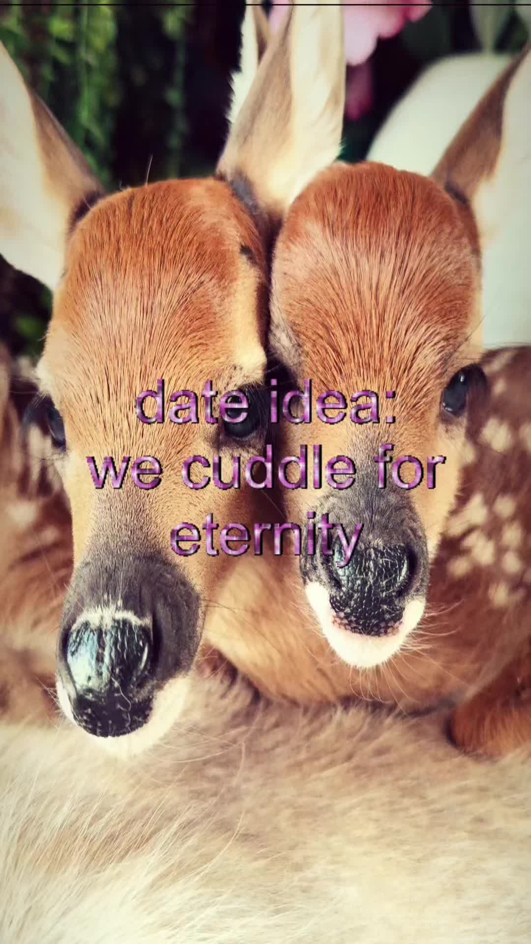 @livinlikedis