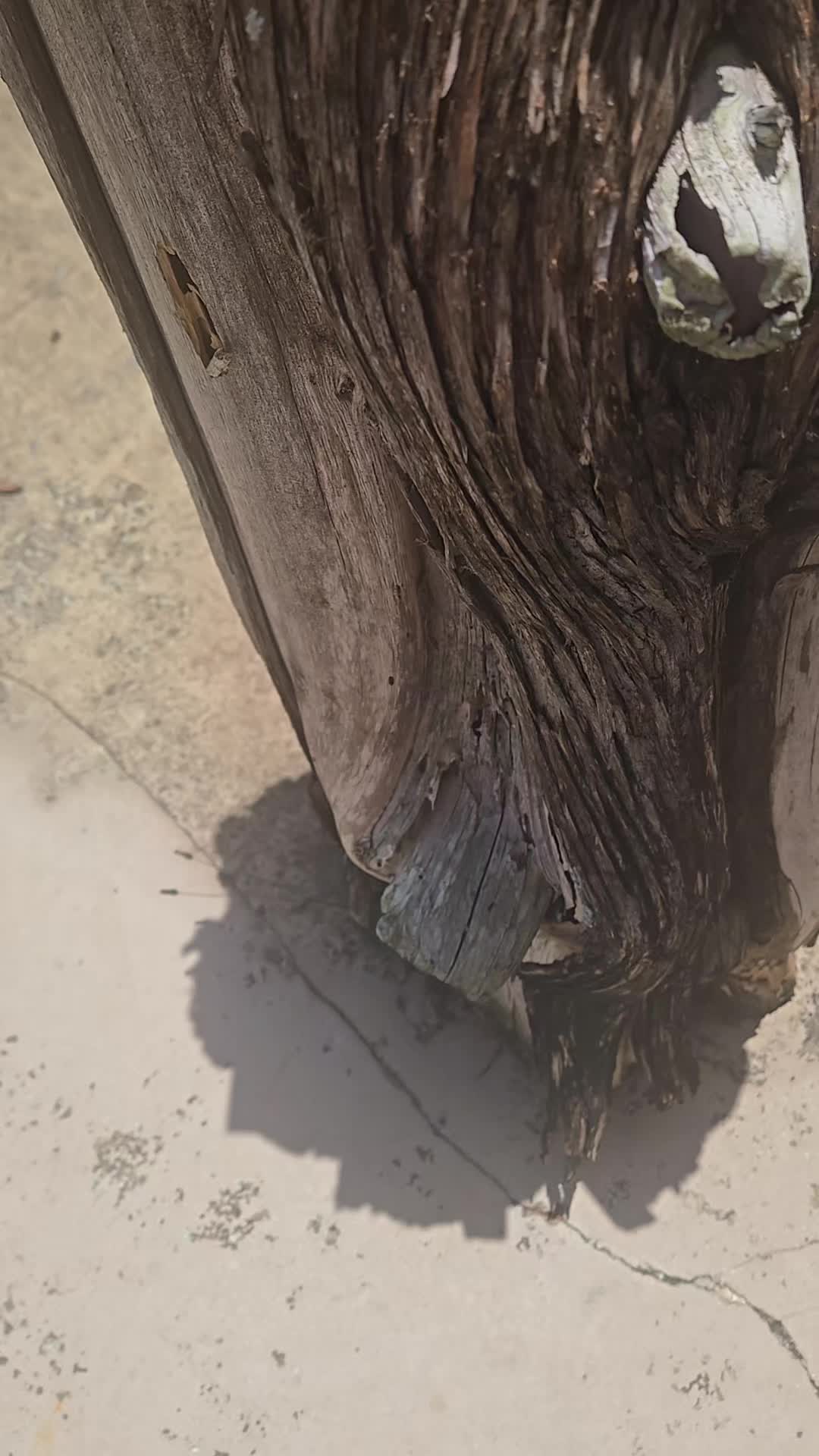 @Mysti & Marley