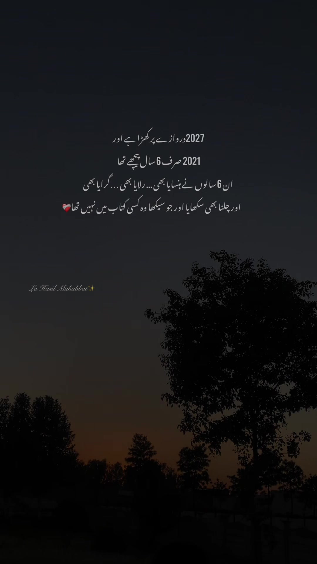 @لا حاصل محبت💔