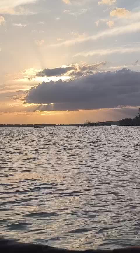 @Escorpión