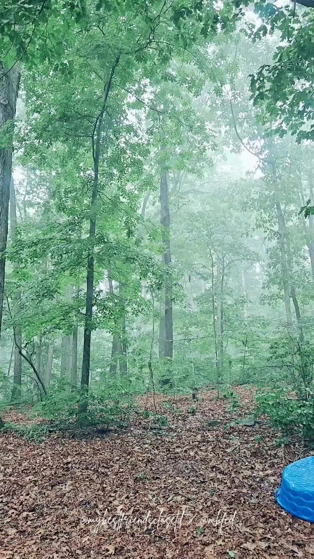 @Lynn♥️👭