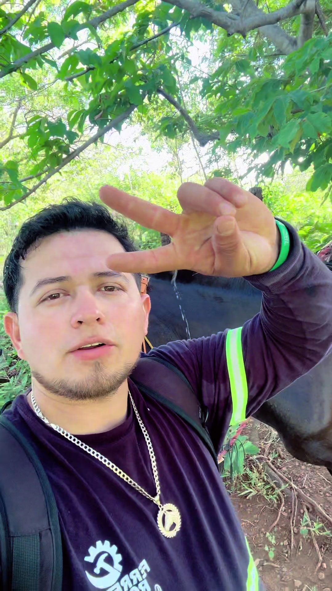@Rony Zavala