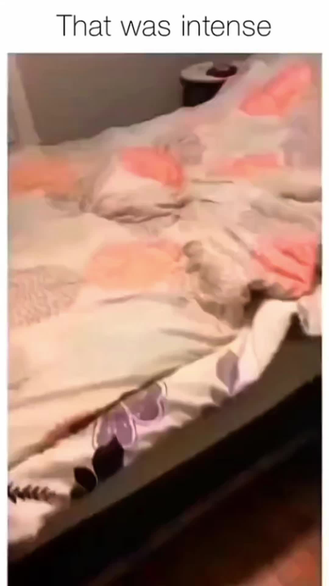@Cute Pet ❤😘