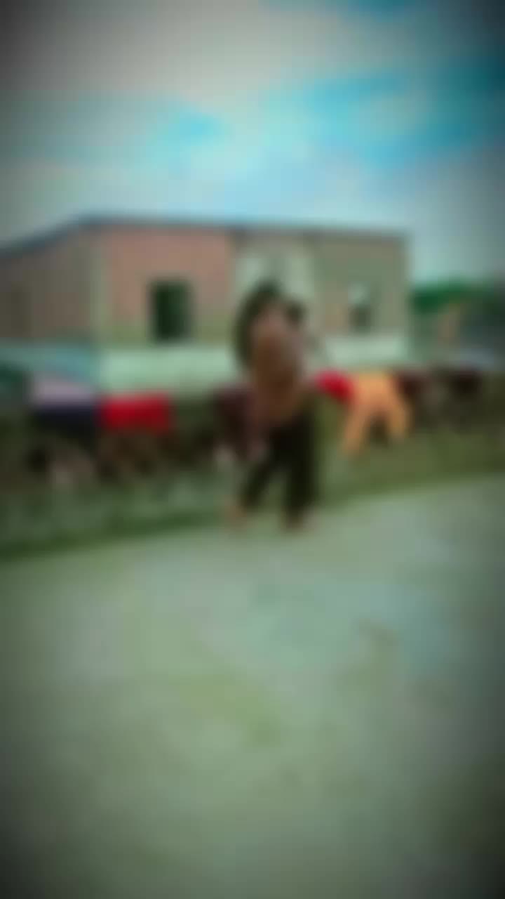 @Editor55