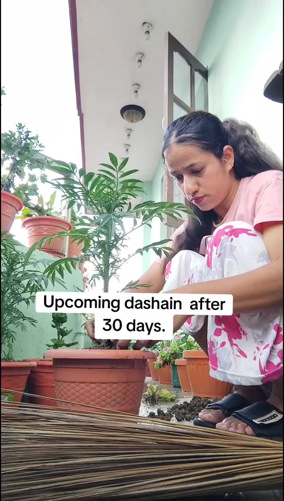 @ishha--ishha