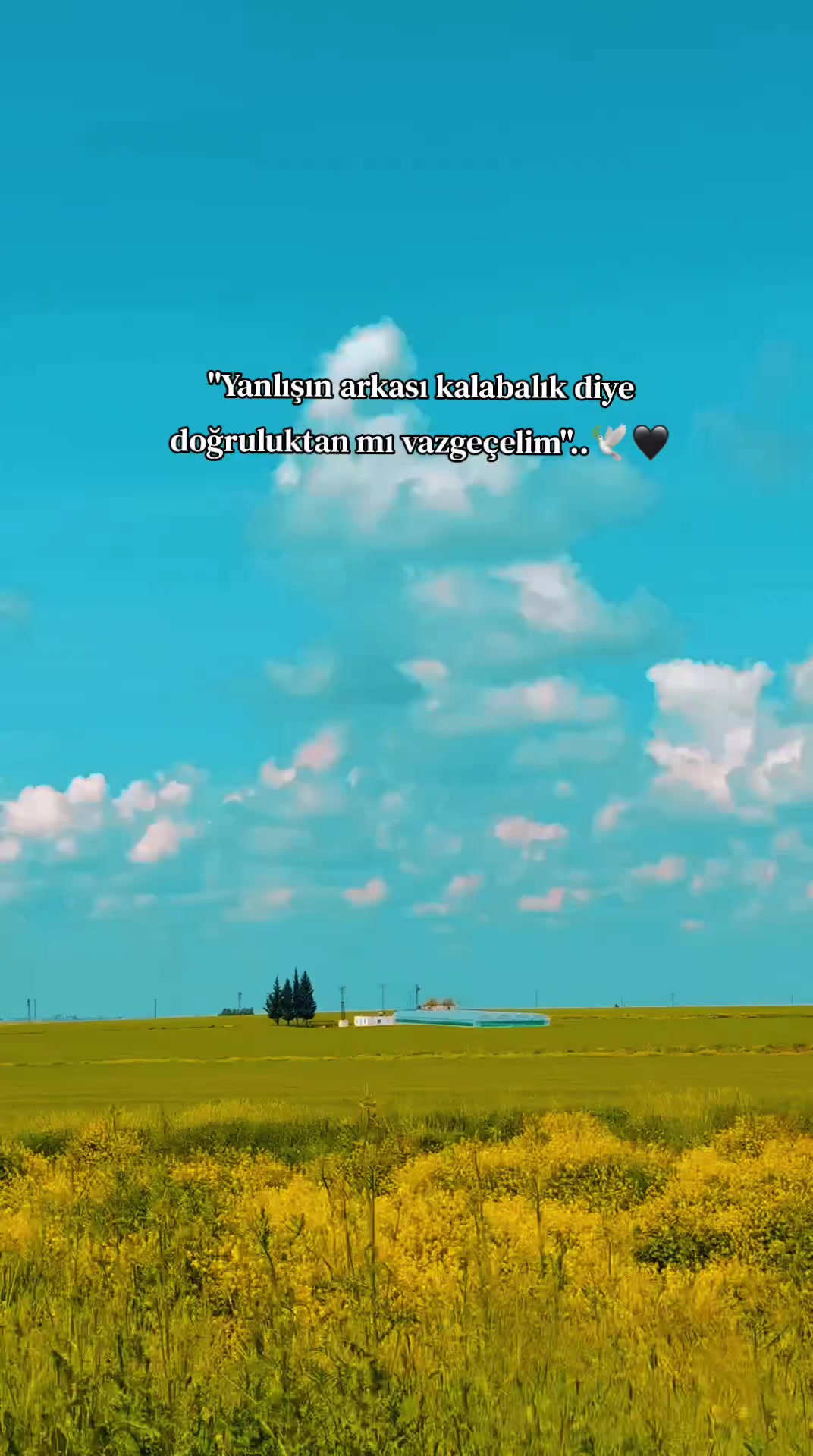 @𝐒 𝐓 𝐄 𝐑 𝐊 ✷