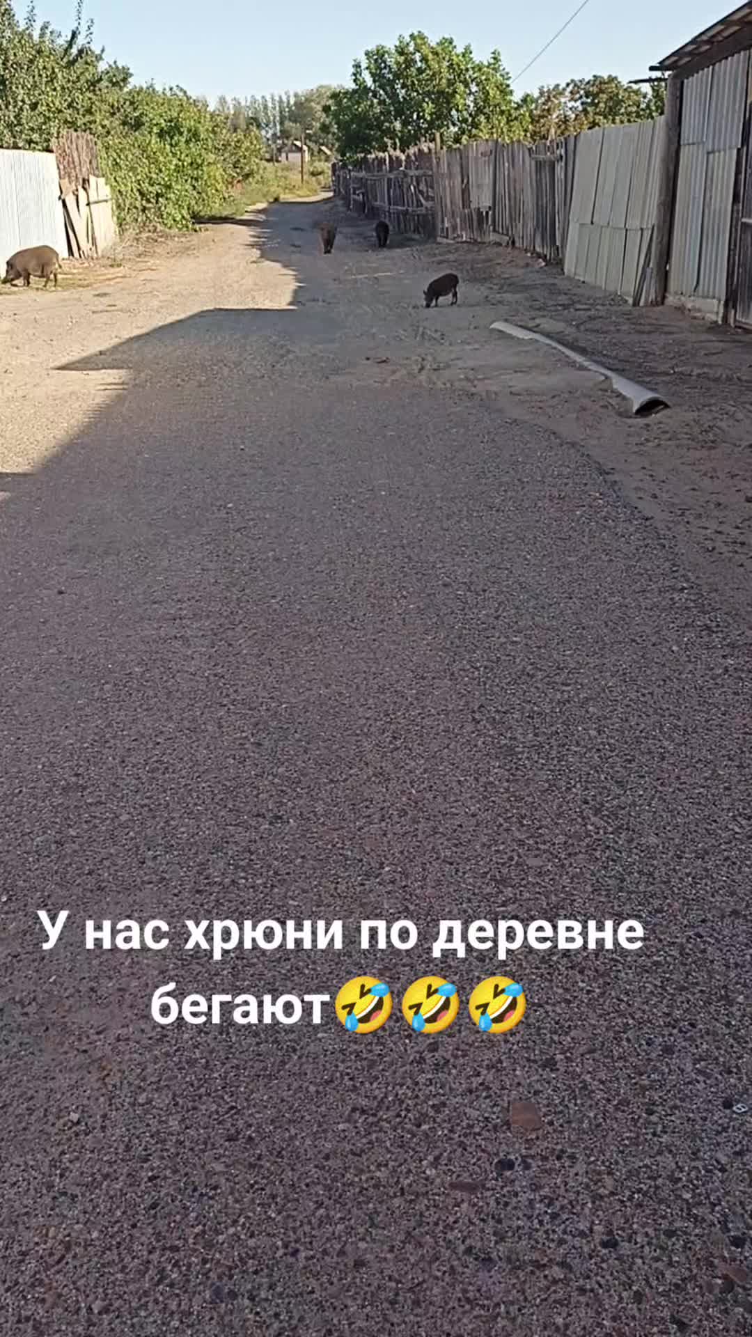 @Ирина Кизина
