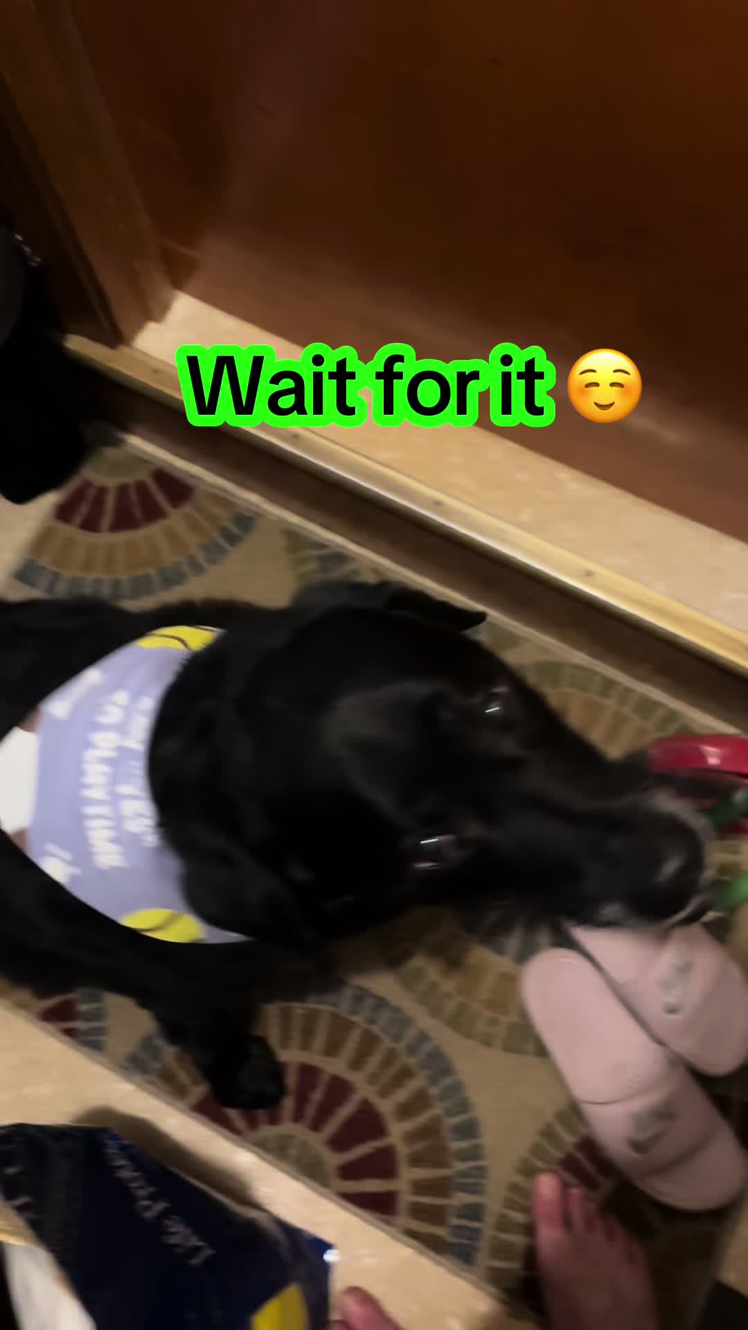 @rubenblacklab