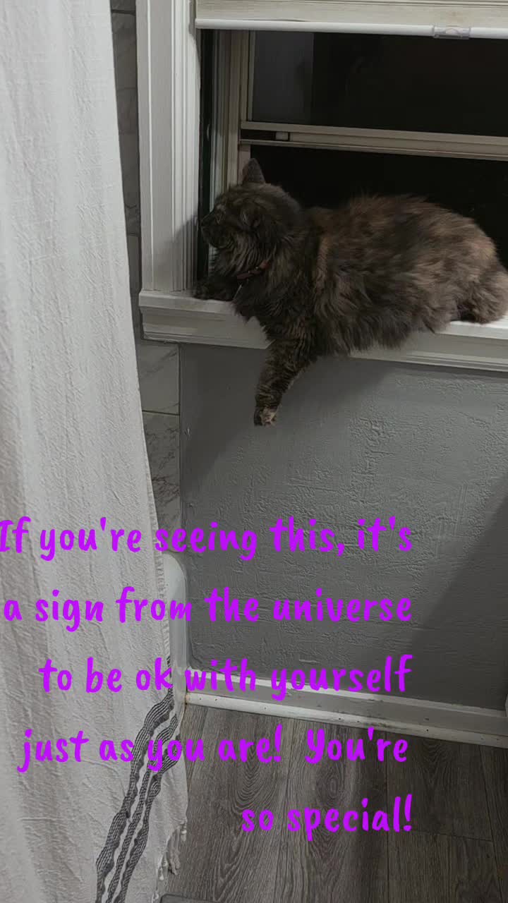 @FoxyRoxyLovesYou