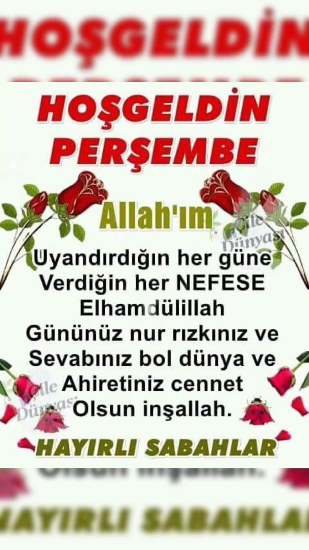 @Mehmet 46 maraşlı
