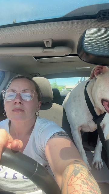 @hairstylingdoglady