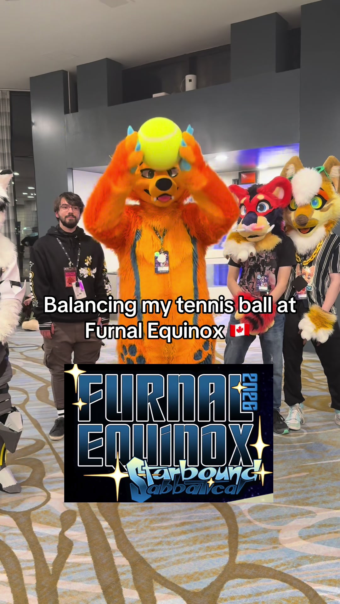 @SumDingoFL