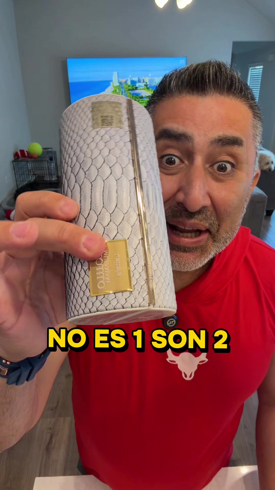 @Loquitostore