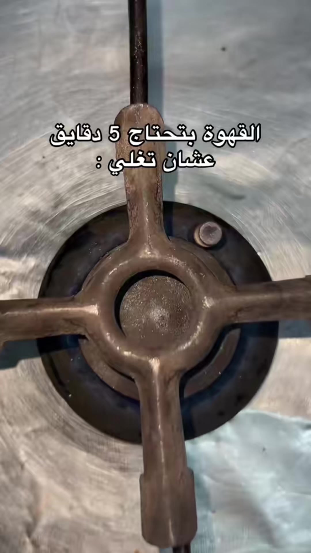 @جانجستا🐺