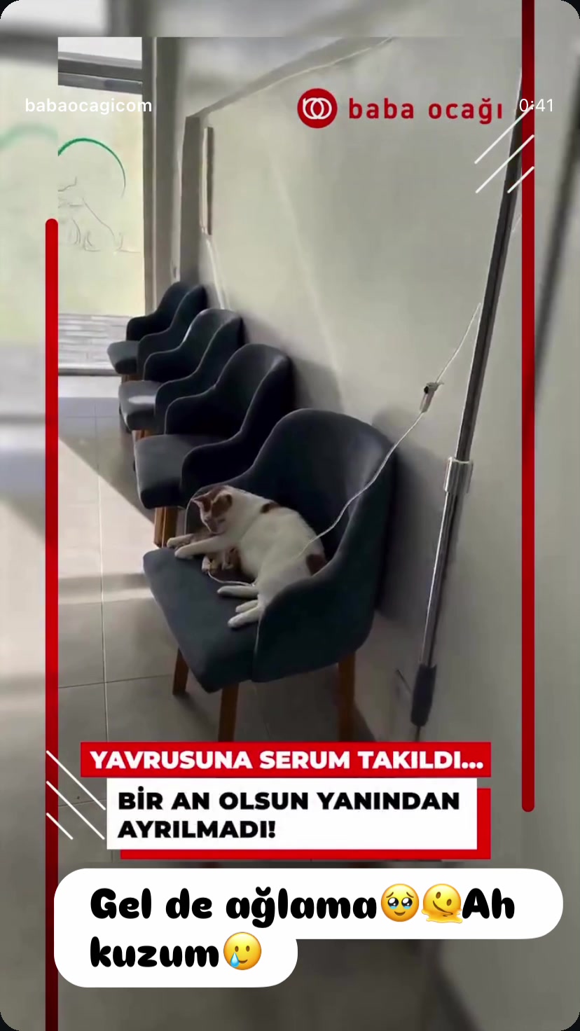 @Şapkalı Kadın