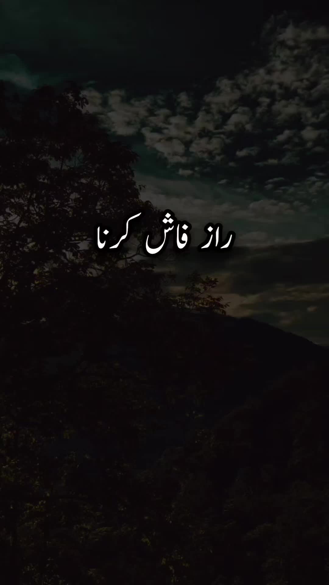@zulfi khan