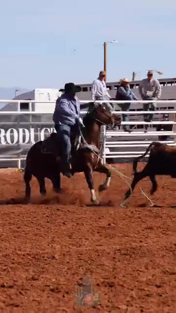 @Roping Dummies Texas