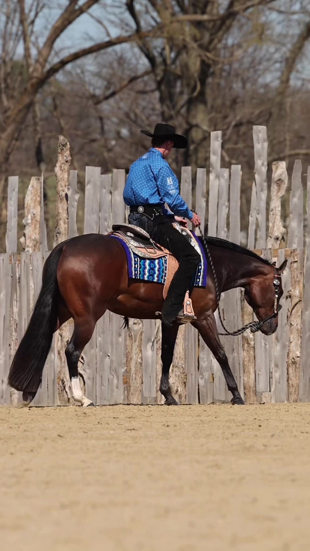 @Miranda | Equine Photographer