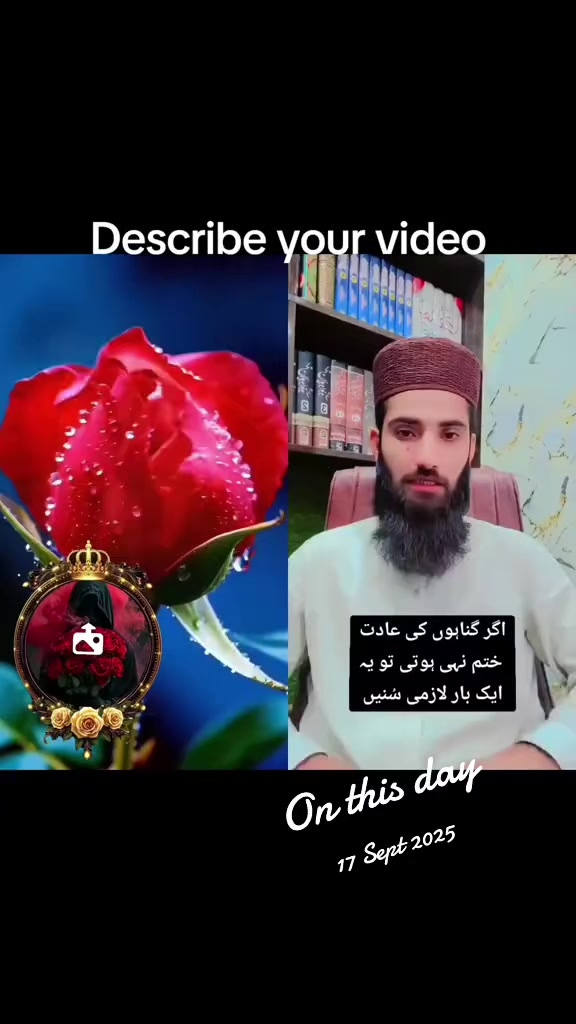 @kashmira irania
