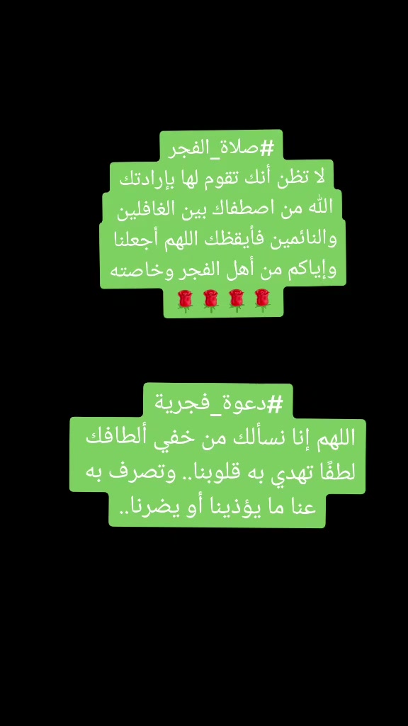 @ننوشه 🌸