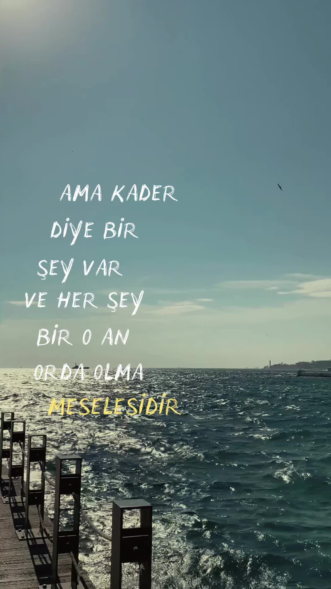 @Ece Yılmaz