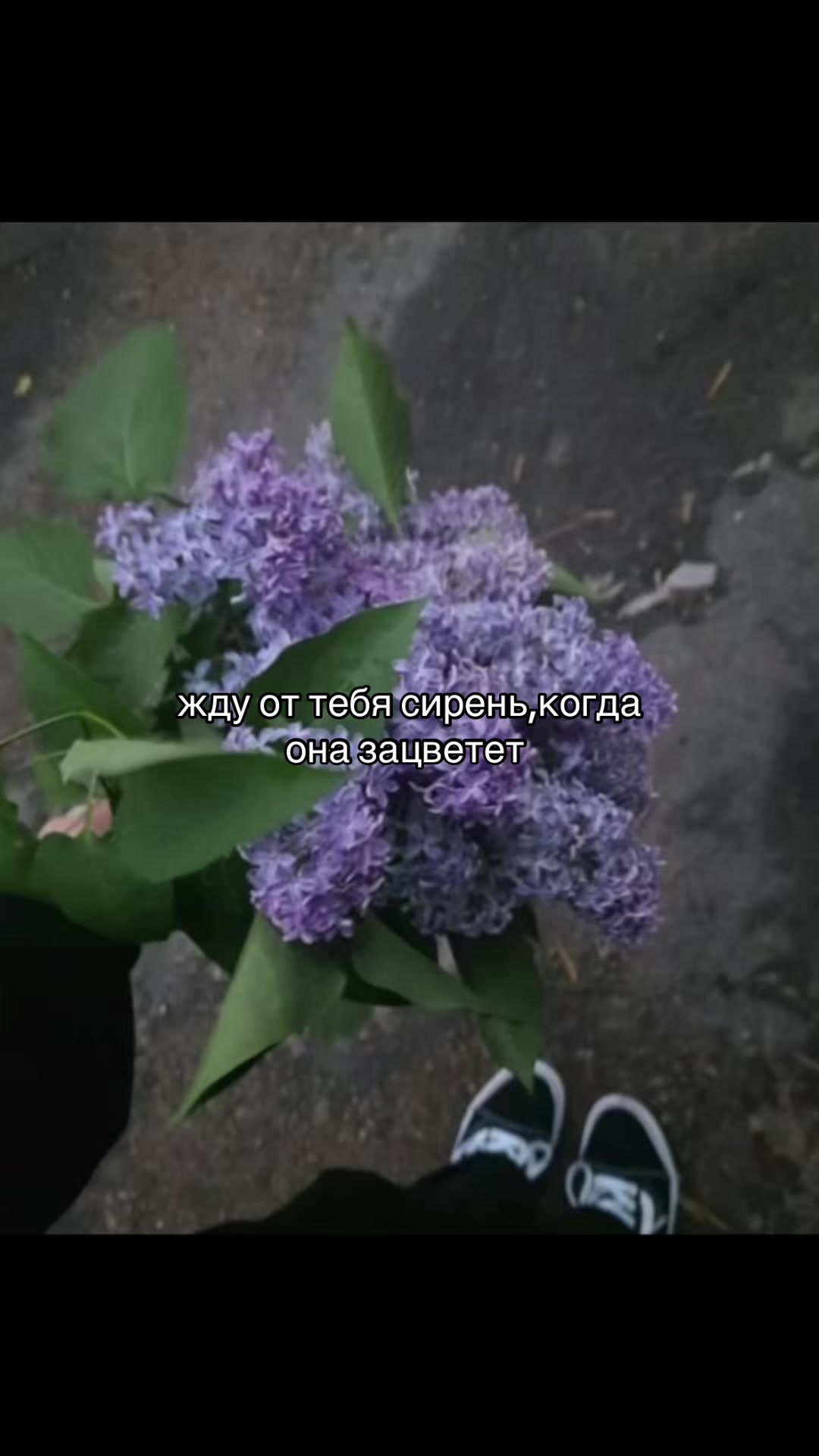 @Sashka Kakashka