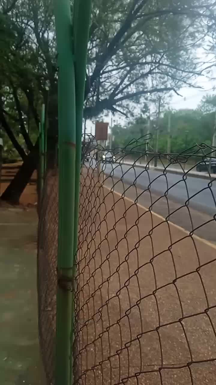 @ÔNIBUSERO APAIXONADO