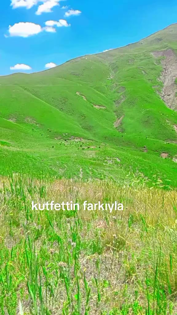 @🕊️AZAD CAN BAKIR 🕊️3636🕊️