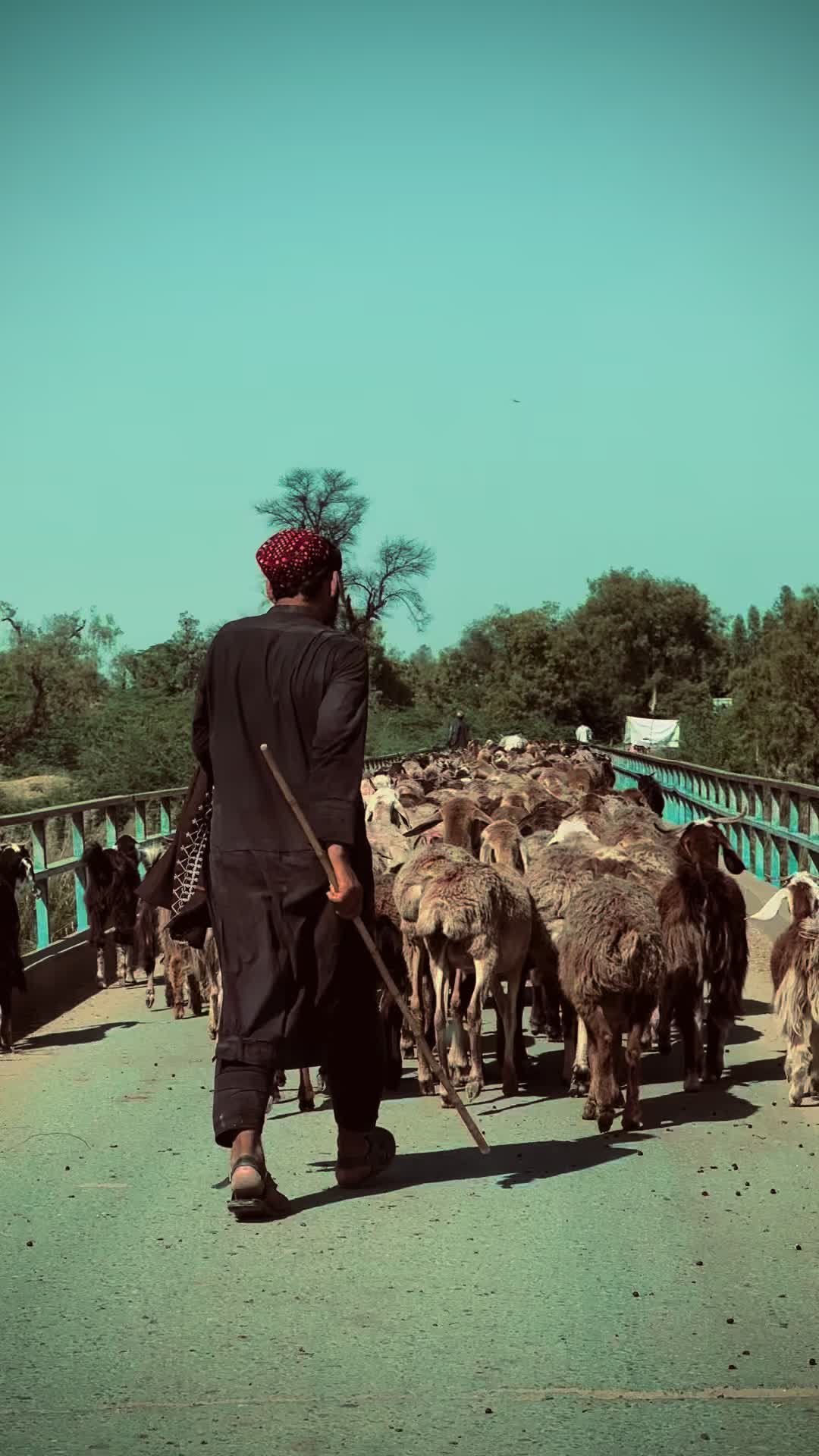 @نیازی