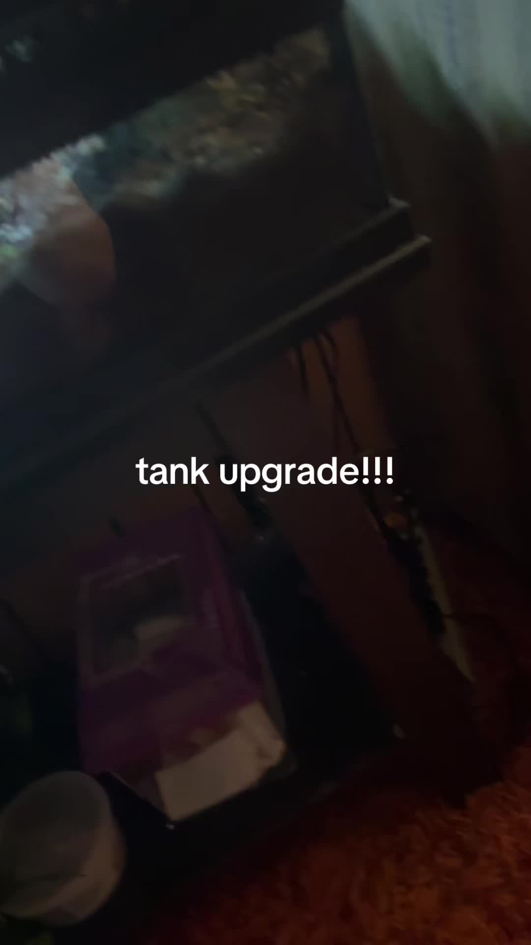 @thebuffunicorn