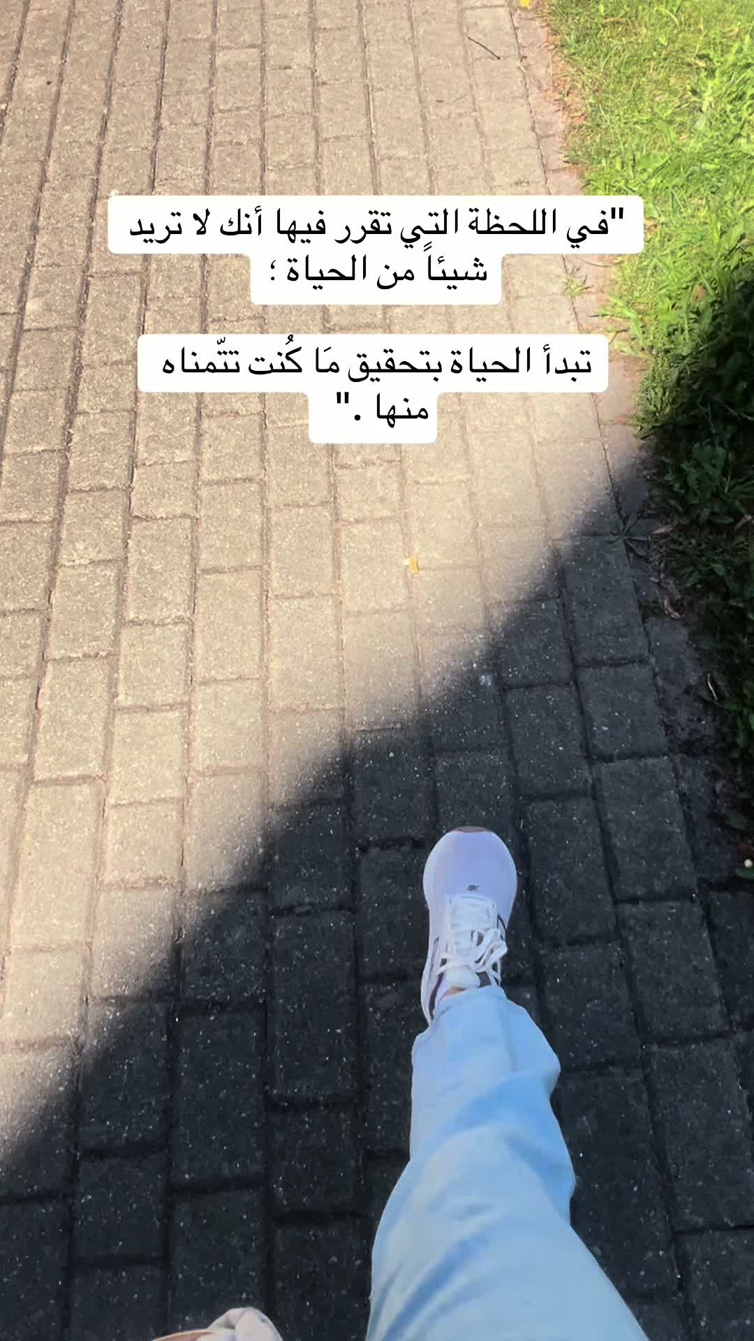 @tuteh🌷