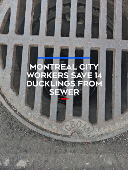 @CTVNews