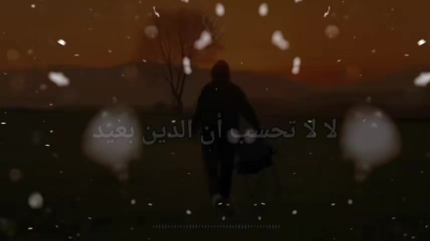 @👑🐎احمد ابو أمير  🐎👑