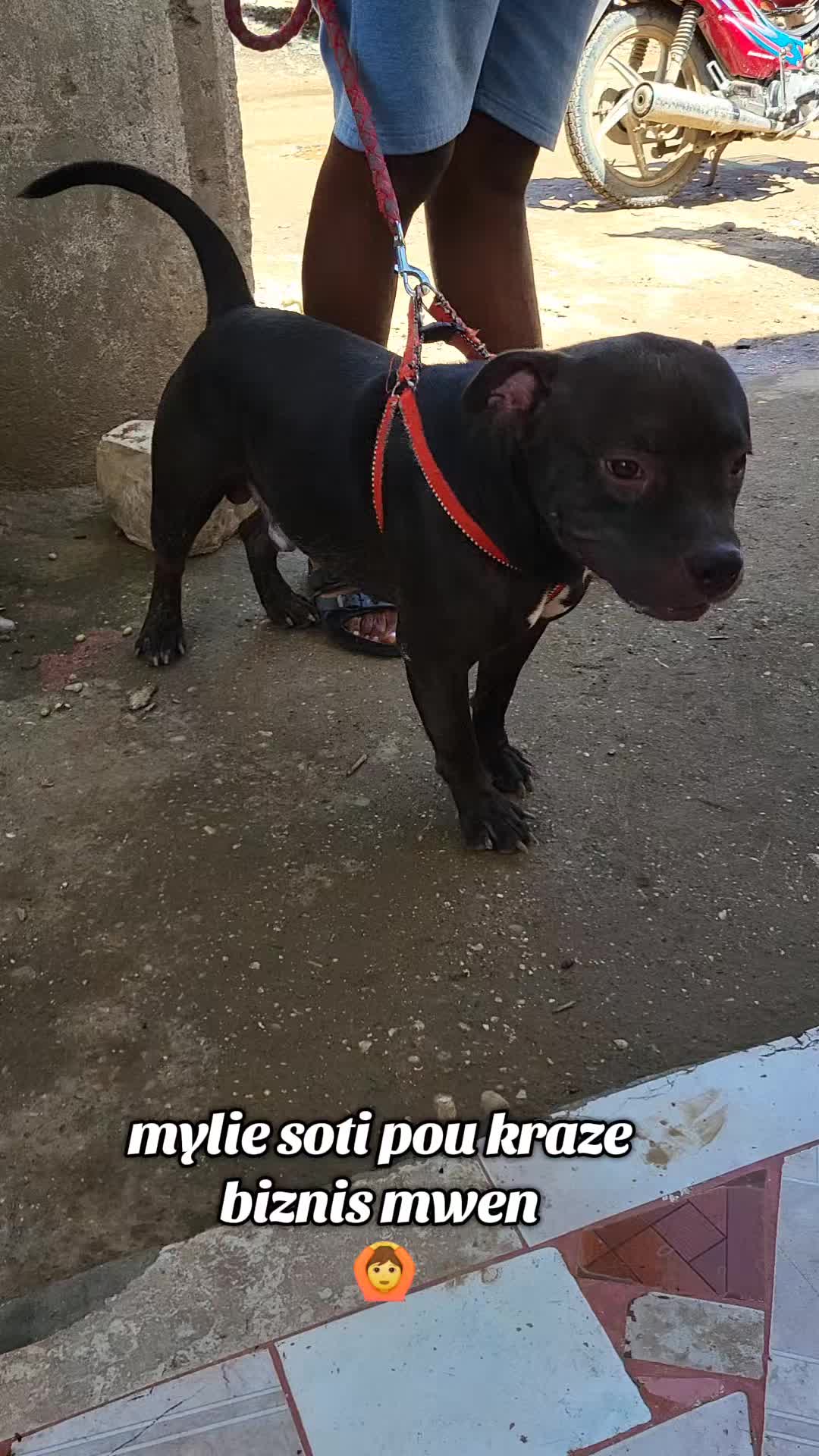 @Bendog