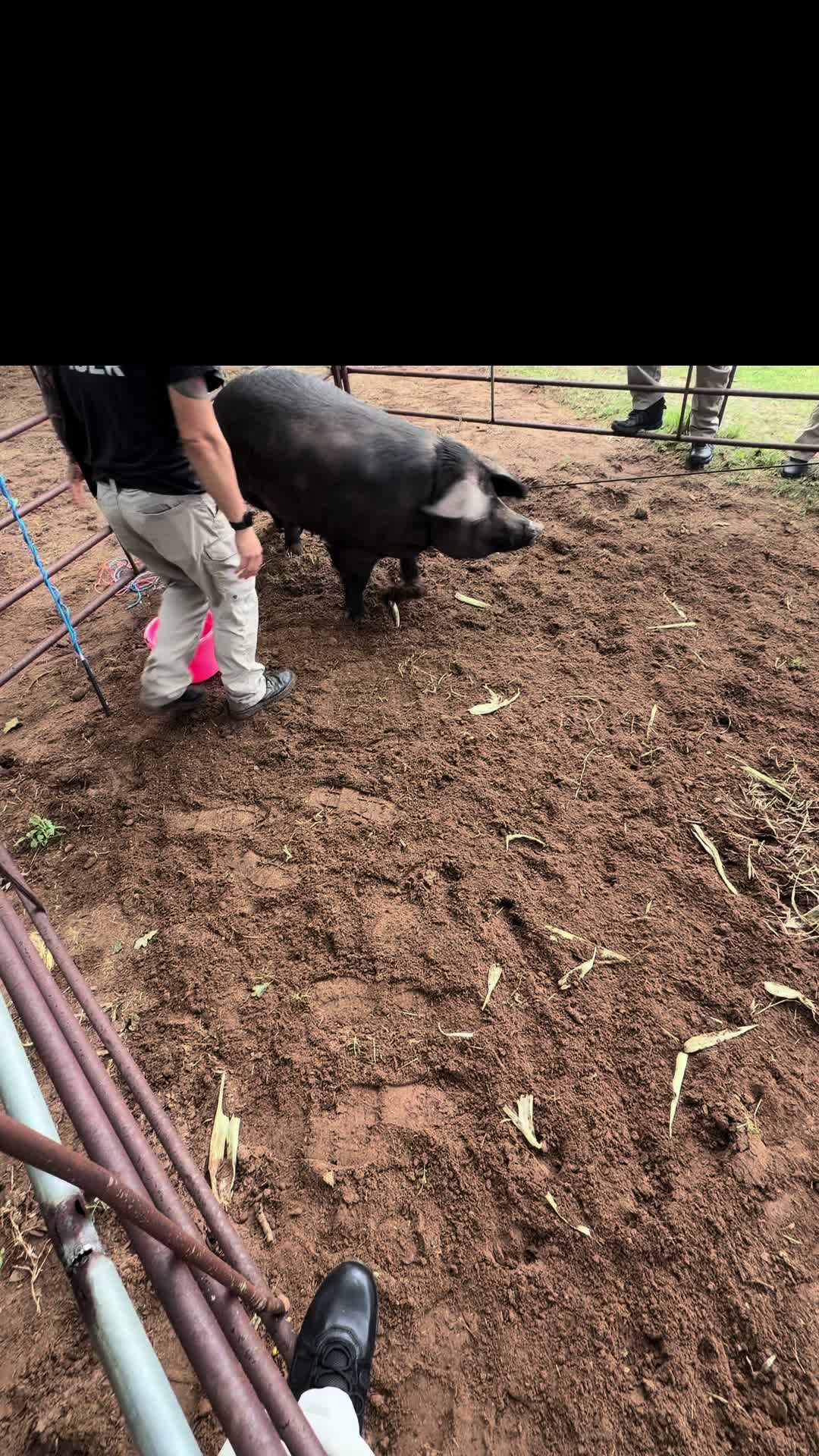 @AnimalWelfareGuy